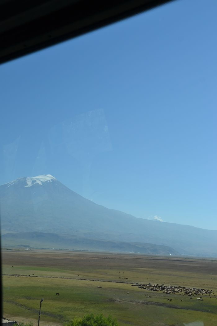 image-.jpg