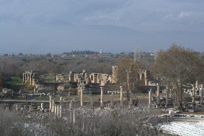 image-.jpg