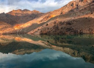 Tevfik Fikretin Âşiyandaki Zevk ve Estetik Anlayışı