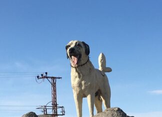 Kazan Restoran’da Lezzet ve Ayrıcalıklı Hizmet